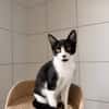 BERRY