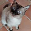 HERCO