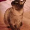 HERCO