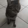 Honey W ~6jahre