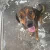 WALLY