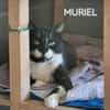 Muriel wartet schon sooo lange!