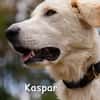 KASPAR