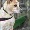 Arby 3/23 m auf der Suche