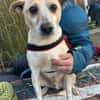 Arby 3/23 m auf der Suche