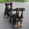 Unser Doppelpack: Lisa & Antonia