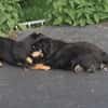 Unser Doppelpack: Lisa & Antonia