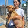 GRÄFIN SCHNUFFEL - bezaubernde kleine Hündin