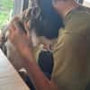 Schmusige Olivia7 sucht ihr Zuhause