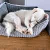 Blanca, kleine Kuschelmaus zum Verlieben