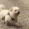 Coqui° in 86529 Schrobenhausen