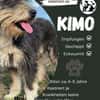 Kimo  sucht sein Zuhause