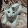BENIE