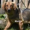 MEDO