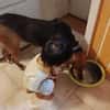 🐾❤ AZZA  GEMÜTLICHER HERZENSHUND SUCHT SEINE MENSCHEN ❤