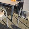 SPITHAS 35 cm, 10 Kilo, sozial sucht