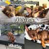 Josina ist eine gute Schülerin