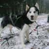 FELIX 2 ist liebenswert und freundlich