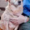 Kleiner Noah sucht liebevolles Zuhause