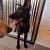 🐾 Ria sucht ihre Menschen