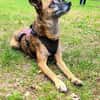 NISHA sucht ihre eigene aktive Familie