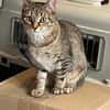 Dina u. Daisy suchen ein liebevolles Zuhause