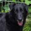 KARAM sucht Familienanschluss
