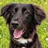 Yumi sucht ihren Traumplatz