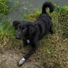 Yumi sucht ihren Traumplatz