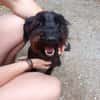 BOUBA