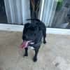 ARKO
