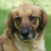Lulu sucht engen Familienanschluss