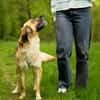 Lulu sucht engen Familienanschluss