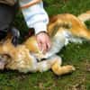 Lulu sucht engen Familienanschluss