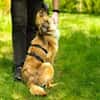 Lulu sucht engen Familienanschluss