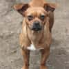 Effi sucht das Abenteuer