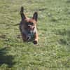 Effi sucht das Abenteuer