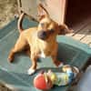 Effi sucht das Abenteuer