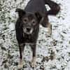 Marlo will endlich ankommen im neuen 4ever home