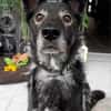 Marlo will endlich ankommen im neuen 4ever home