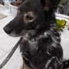 Marlo will endlich ankommen im neuen 4ever home