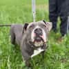 Rita - bereit für ein neues Leben - PLZ 39291