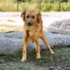 Hazel sucht liebevolle Familie...
