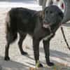 Die sensible Aurora erobert alle Herzen im Sturm!