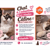 CALINE