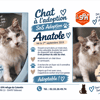 ANATOLE