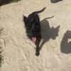 SELMA ( A TROUVE SA FAMILLE)