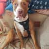 TYR (Hogar de paz)