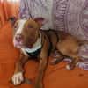 TYR (Hogar de paz)