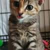 Celina - die kleine Prinzessin